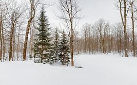 Jay Peak Village Home 367B